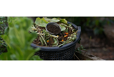 Jak zřídit kompostér na zahradě