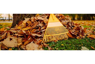 Podzimní úklid zahrady - jak se připravit na zimu?