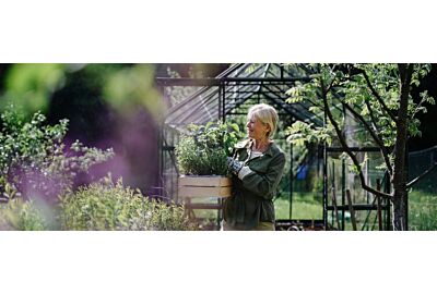 Jak efektivně využít prostor skleníku?