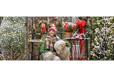 Jaké rostliny se nejlépe uplatní v zimní zahradě?