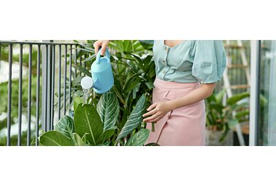 Tropické klima na balkoně