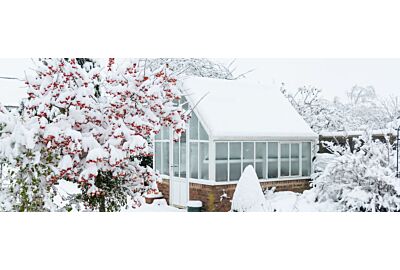 Které rostliny je nejlepší pěstovat v zimě ve skleníku?