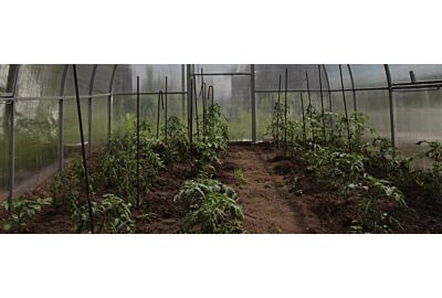 Pěstování zeleniny v plastových tunelech - průvodce pro začátečníky