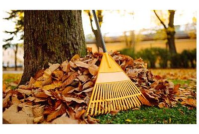 Podzimní úklid zahrady - jak se připravit na zimu?