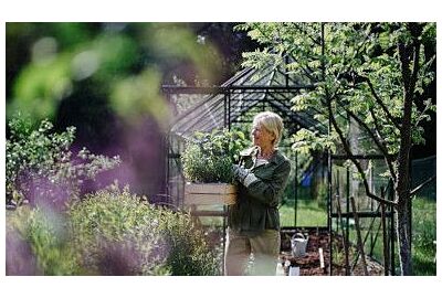 Jak efektivně využít prostor skleníku?