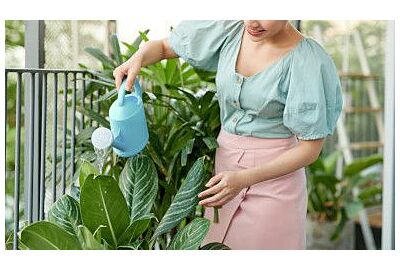 Tropické klima na balkoně