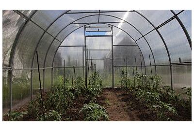 Pěstování zeleniny v plastových tunelech - průvodce pro začátečníky