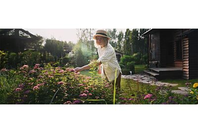 Květiny, které promění vaši zahradu během jedné sezóny