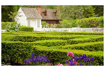 Anglická zahrada – jak navrhnout romantický prostor plný kouzla?