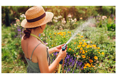 Postarejte se o svou zahradu v létě