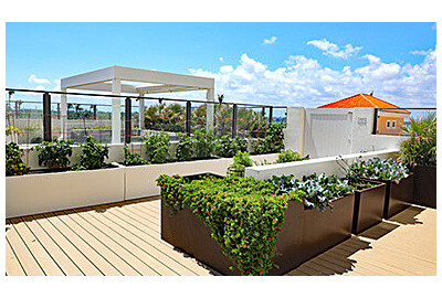 Jak si na terase nebo balkoně vytvořit miniaturní zeleninovou zahrádku?