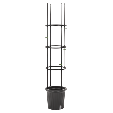 Černý květináč s oporou na rajčata Cultivo Tomato Tube 148 cm s vertikální konstrukcí a kruhovými držáky