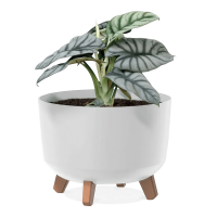 Gracia Standardní květináč na nožce 39x39x27cm bílý - PROSPERPLAST