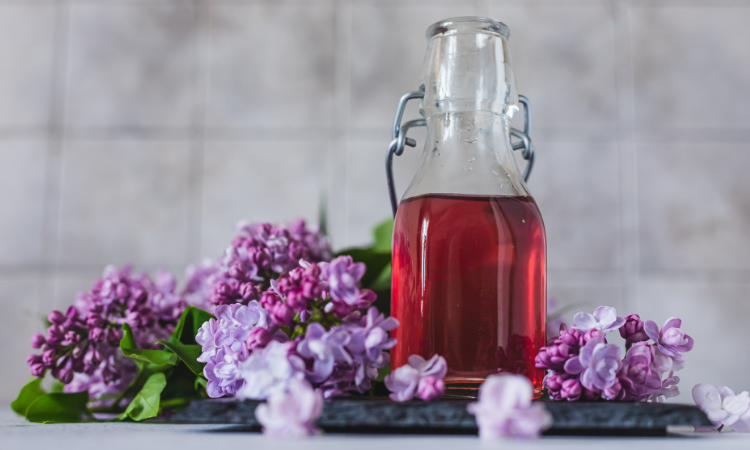napar w karafce z bzu pospolitego lilac