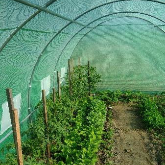 Zahradní fóliovník Cultivo 3x6 m (18 m2) zelený fotografie realizace 3