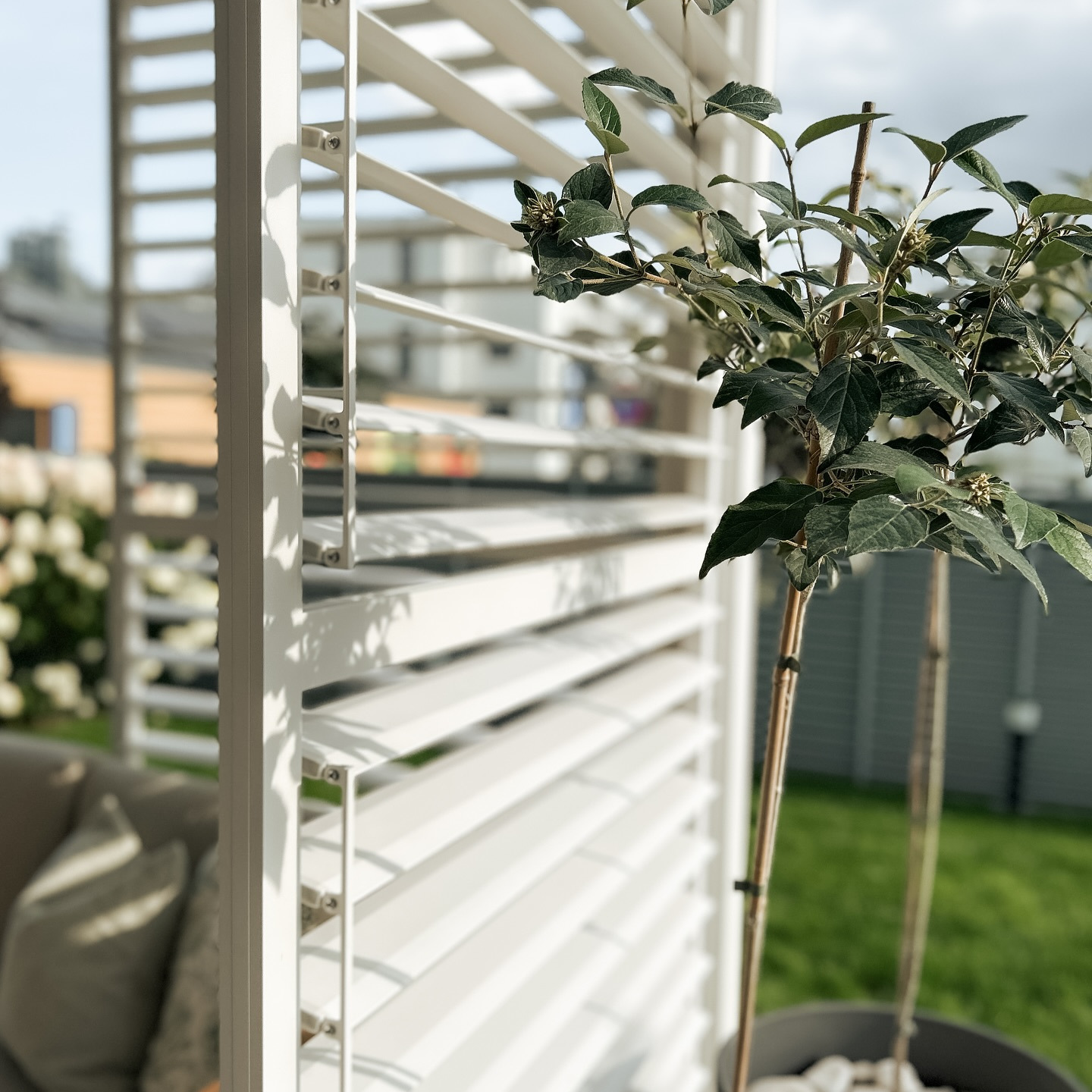 Žaluziový panel pro pergolu Gutroof Premium 123,5 cm bílá fotografie realizace 4