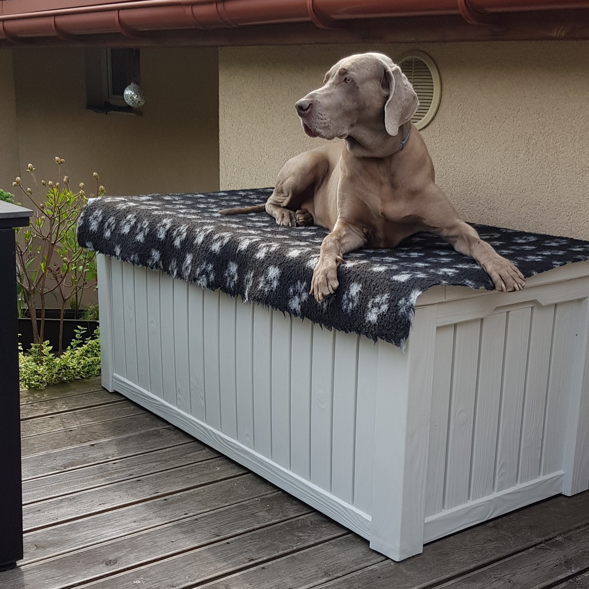 Zahradní úložný box Keter Rockwood 570 l, krémový fotografie realizace 1
