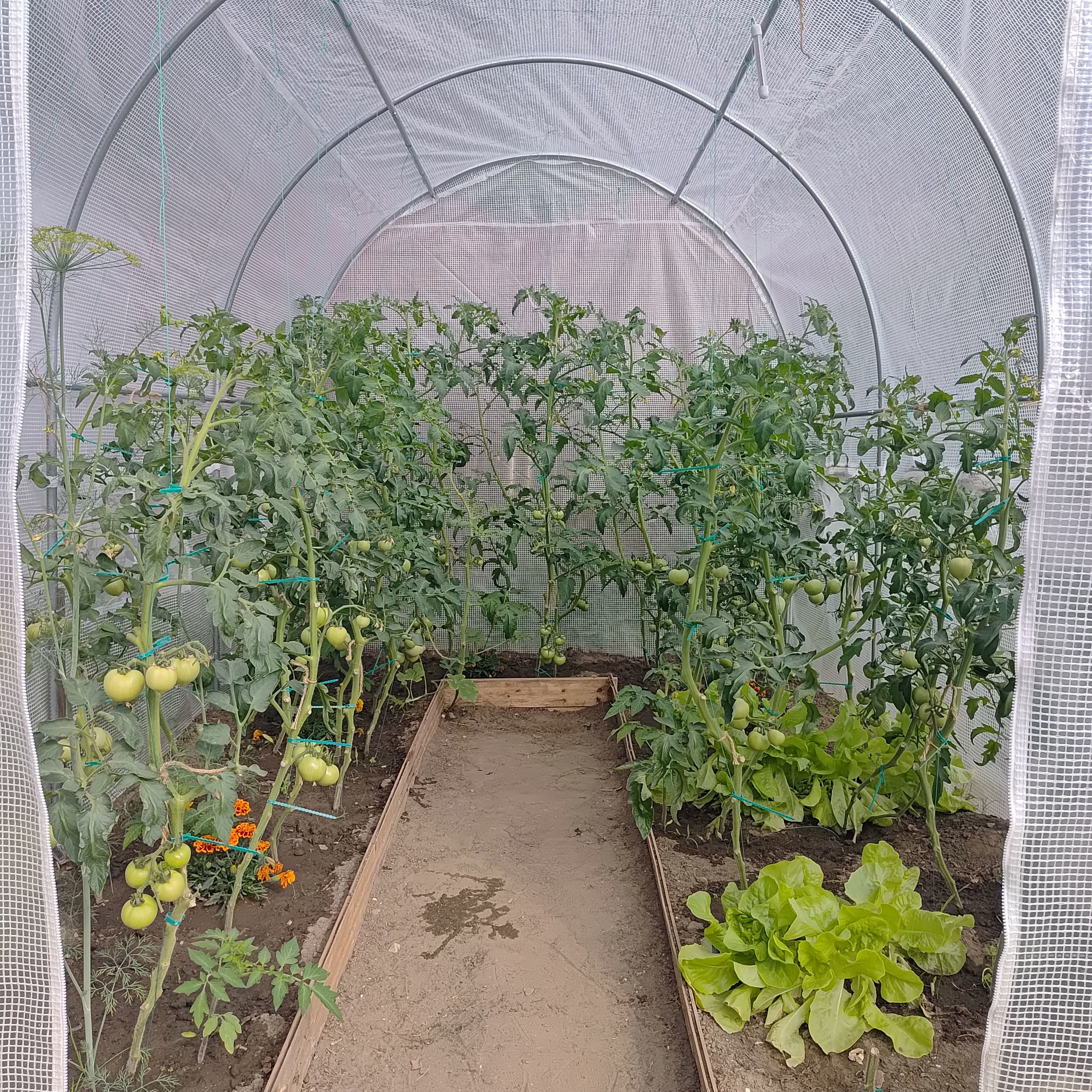 Zahradní fóliovník Cultivo 2x3x2 m, bílý fotografie realizace 1