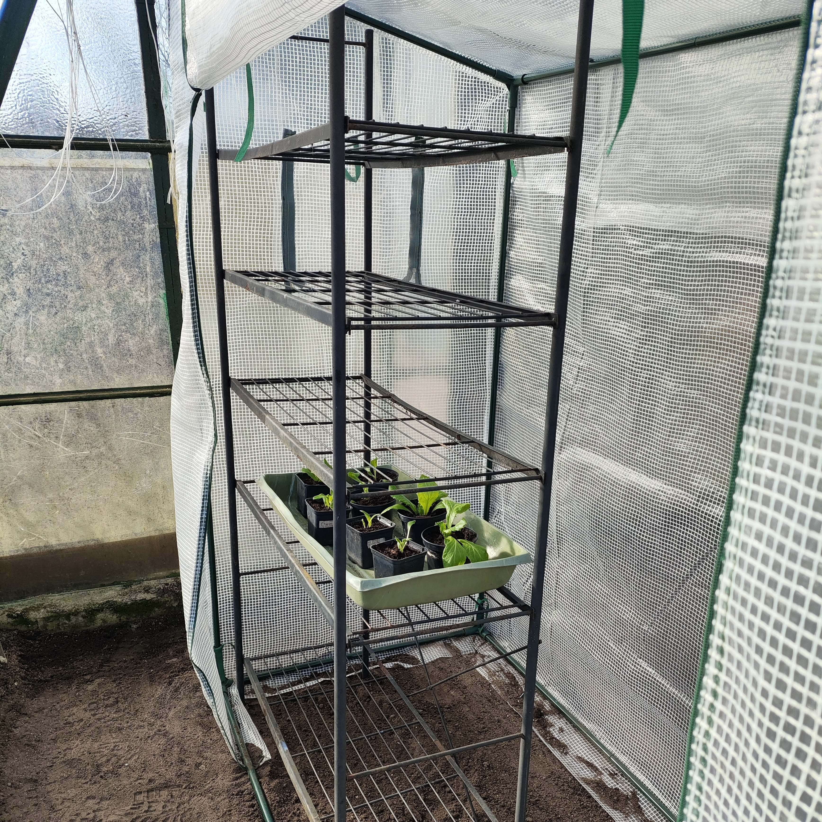 Fóliovník na rajčata Cultivo 200x77 cm bílý fotografie realizace 1