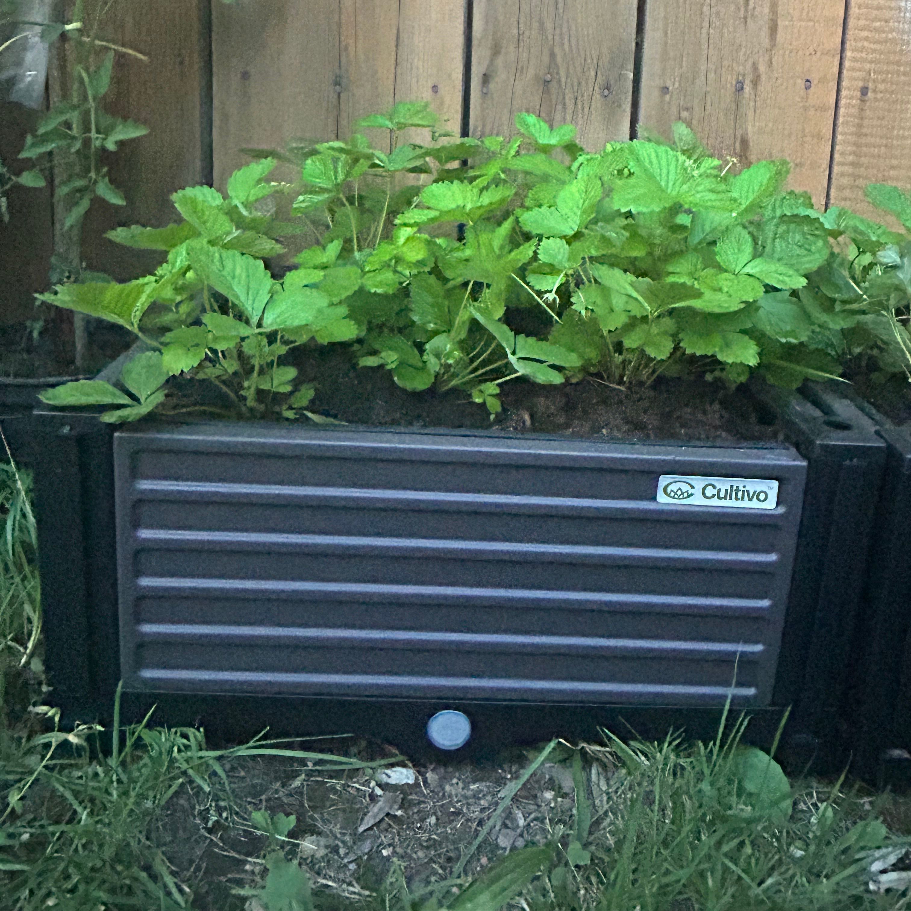 Vyvýšený záhon Cultivo GROW CUBE S 41x41 cm fotografie realizace 1