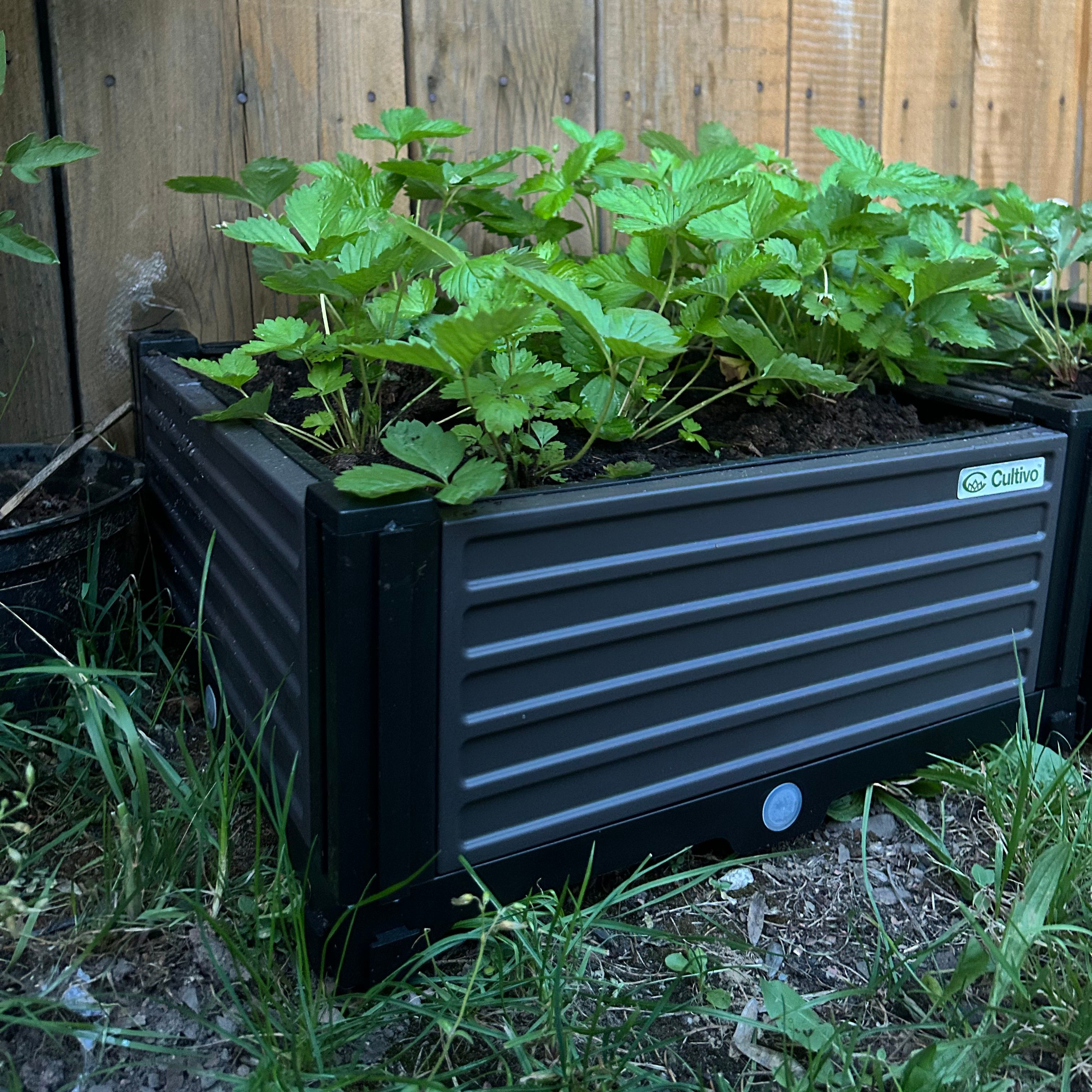 Vyvýšený záhon Cultivo GROW CUBE S 41x41 cm fotografie realizace 3