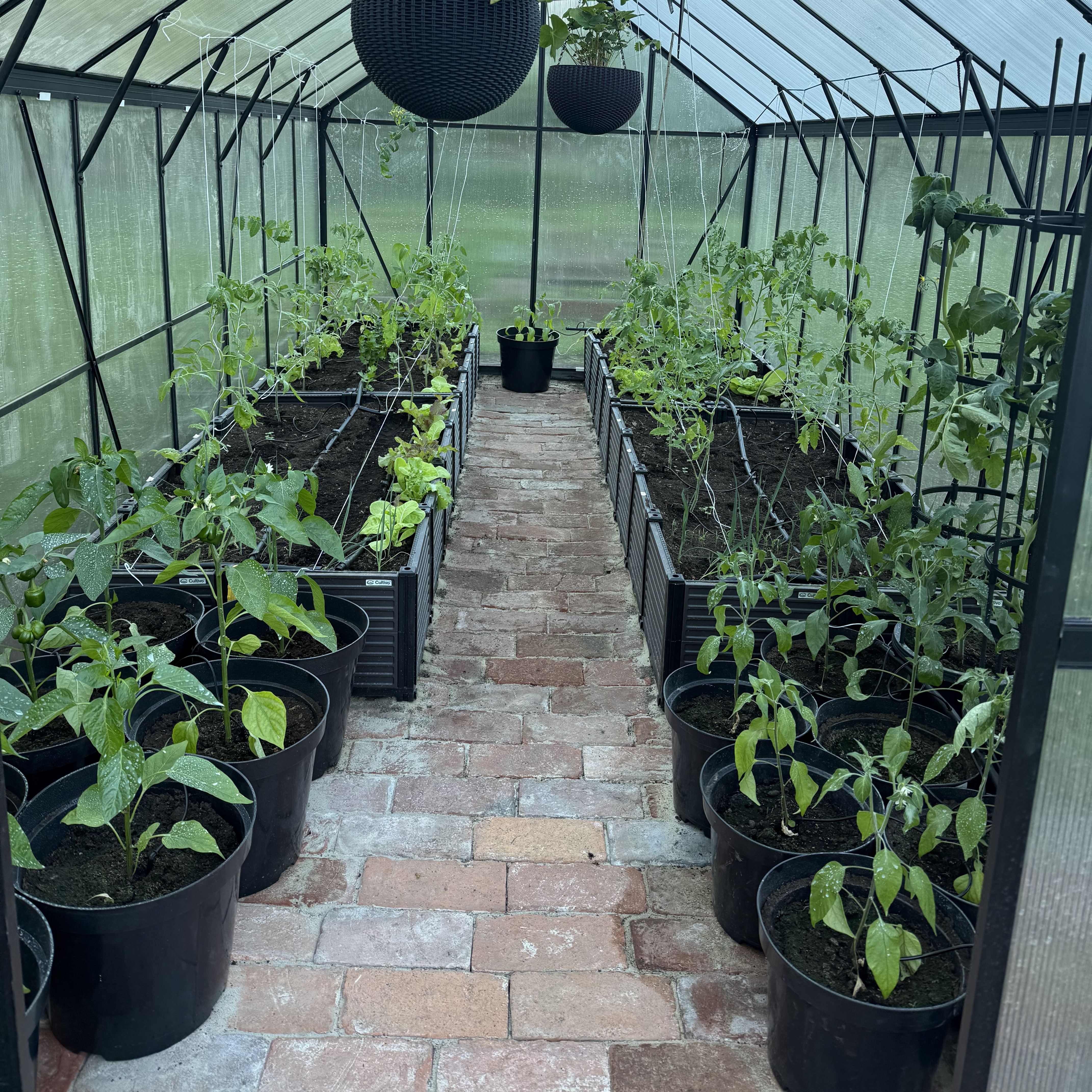 Květináč s oporou na rajčata Cultivo Tomato Tube 148 cm fotografie realizace 3