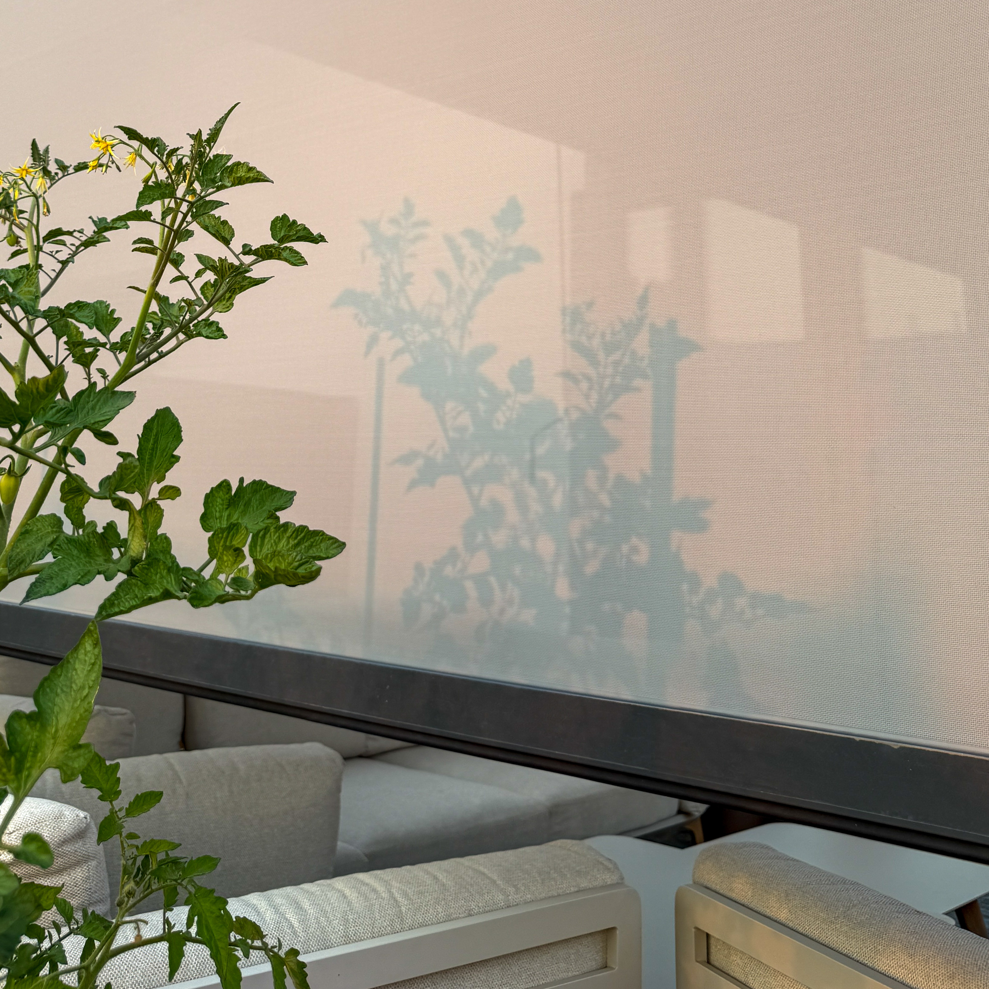 Roleta Gutroof pro pergoly ELEGANCE/DELUXE/FUSION 3m antracit fotografie realizace 5