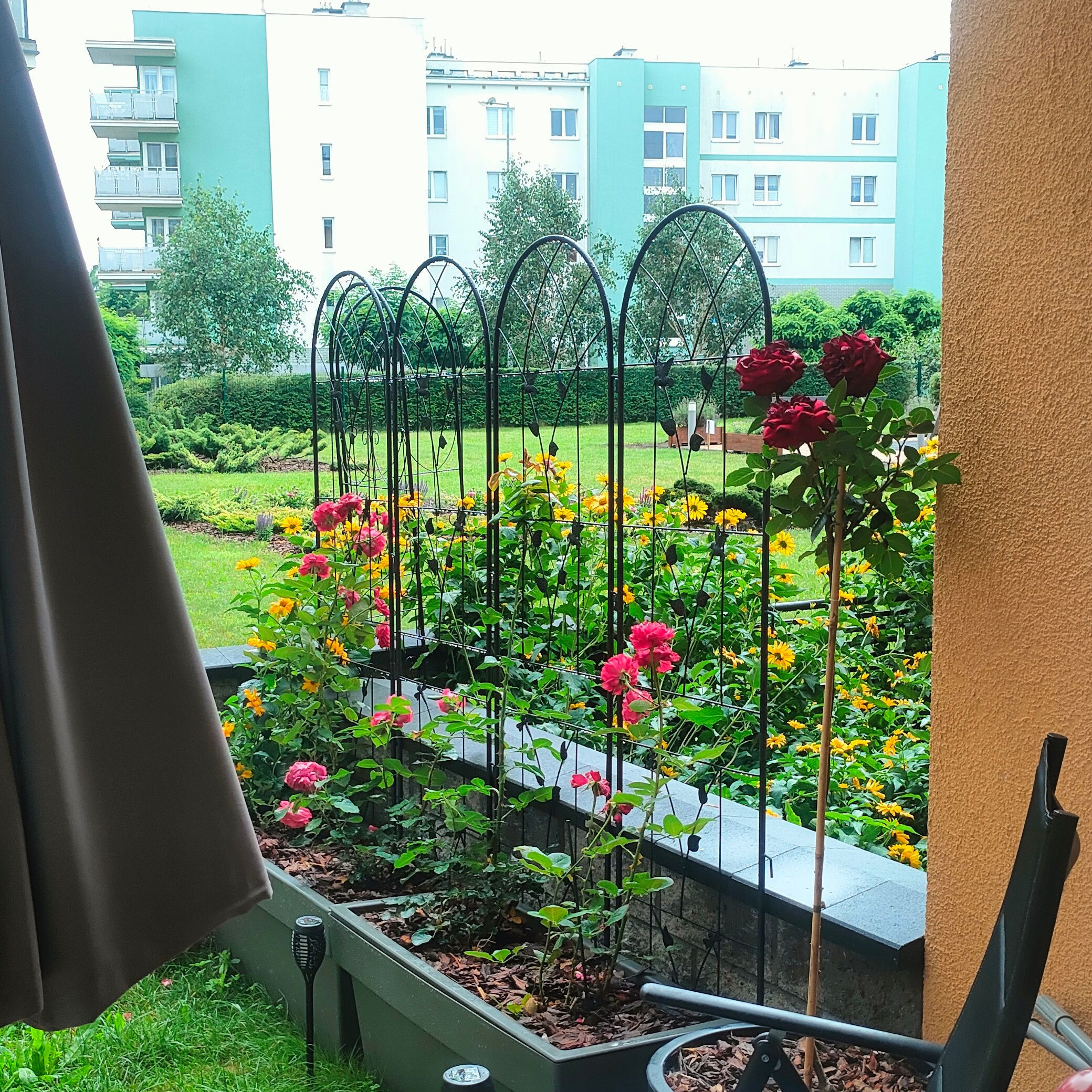 Sada 2 kovových opěr pro rostliny Cultivo 190x55 cm fotografie realizace 10