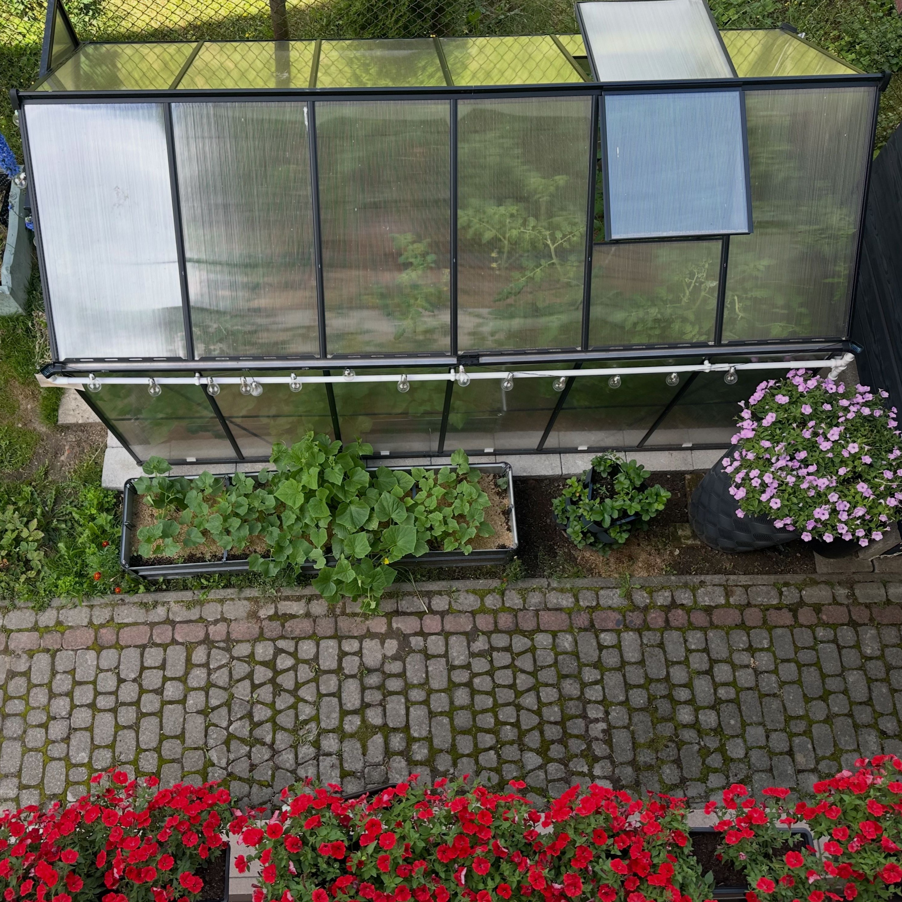 Polykarbonátový skleník Cultivo Slide-In 183x361 cm černý fotografie realizace 10