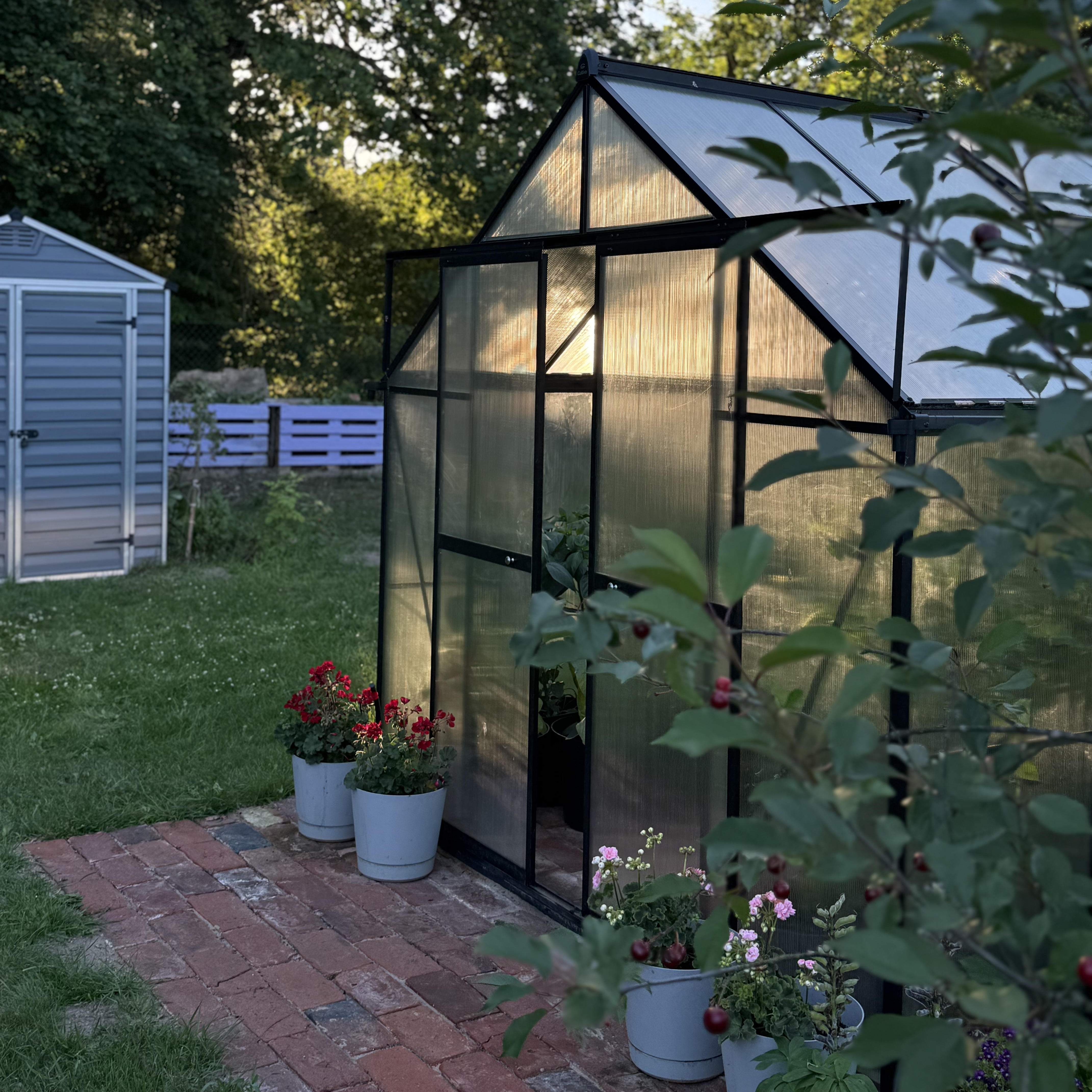 Polykarbonátový skleník Cultivo Slide-In 244x490 cm černý fotografie realizace 6