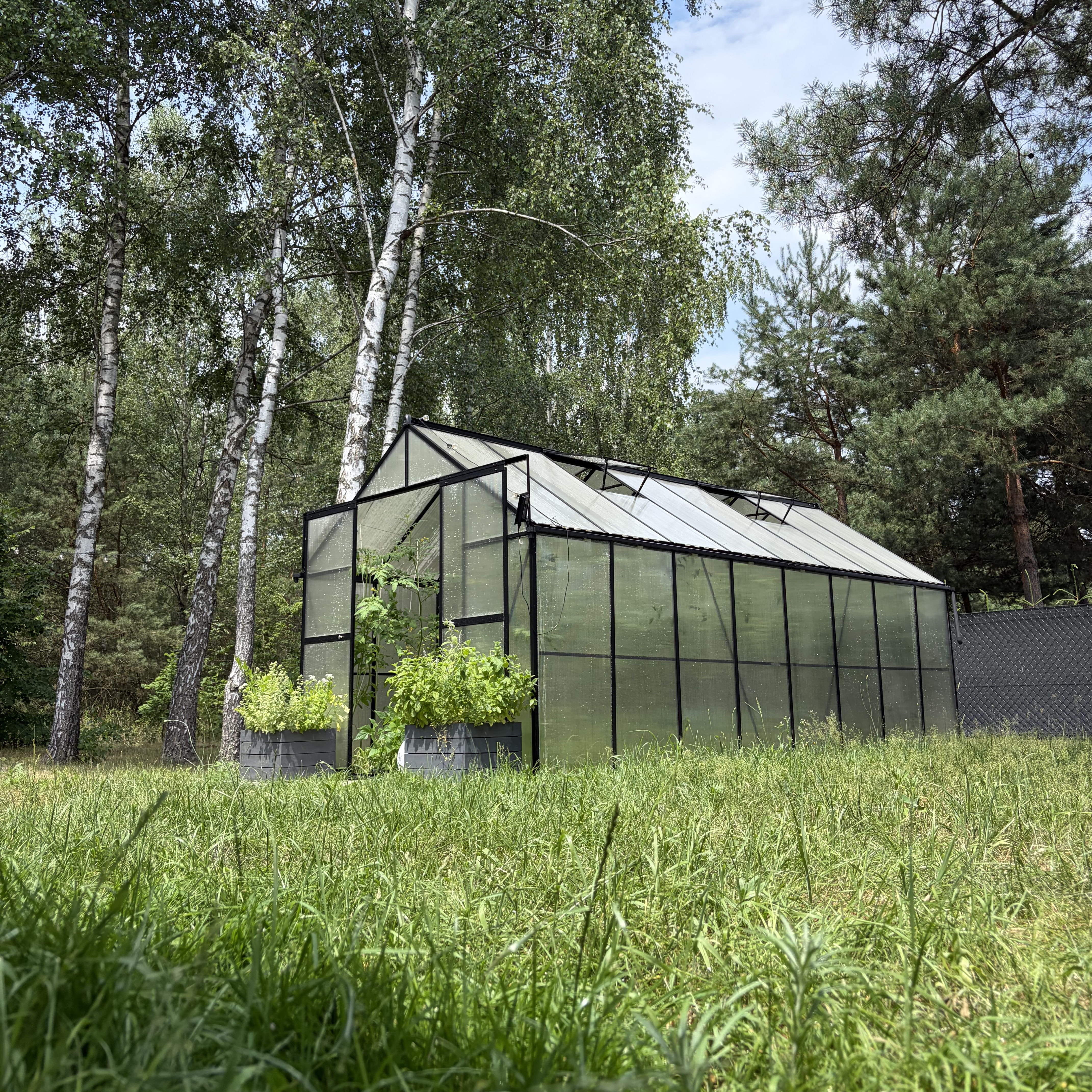 Polykarbonátový skleník Cultivo Slide-In 244x490 cm černý fotografie realizace 11