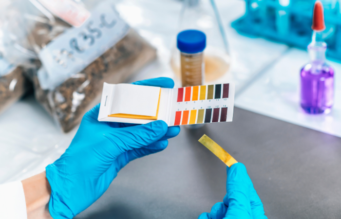 ph gleby sprawdzane w warunkach laboratoryjnych papierkami lakmusowymi 