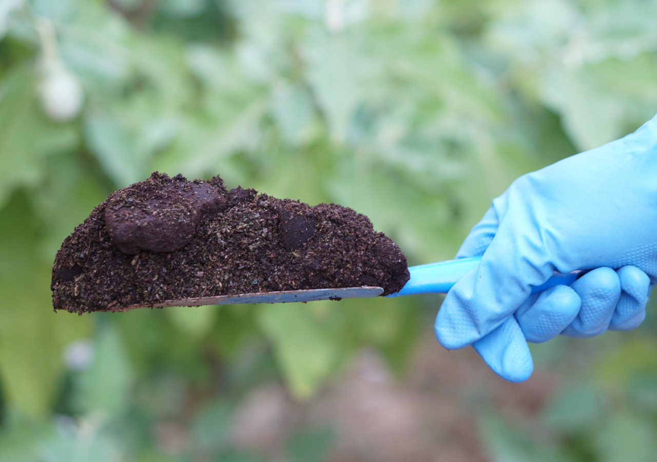 Ruka v rukavici držící lopatku s kompostérem