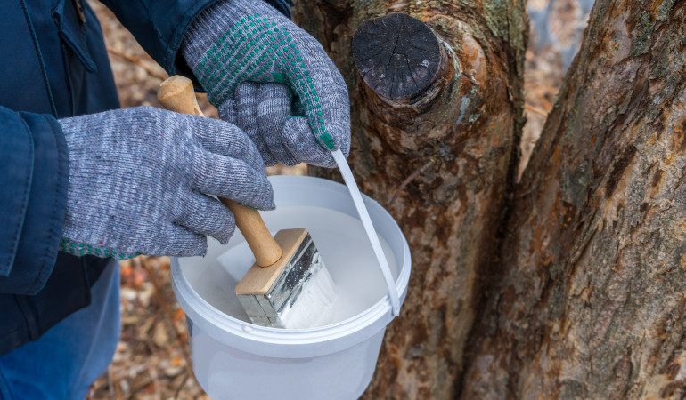 Připraven&aacute; směs na bělen&iacute; dřeva v b&iacute;l&eacute;m kbel&iacute;ku, kter&yacute; drž&iacute; muž.