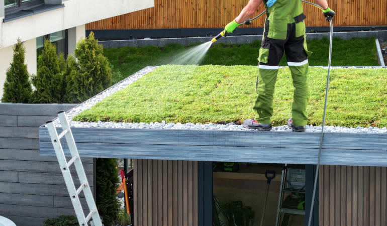 Muž zal&eacute;v&aacute; tr&aacute;vu rozprostřenou na stře&scaron;e domu