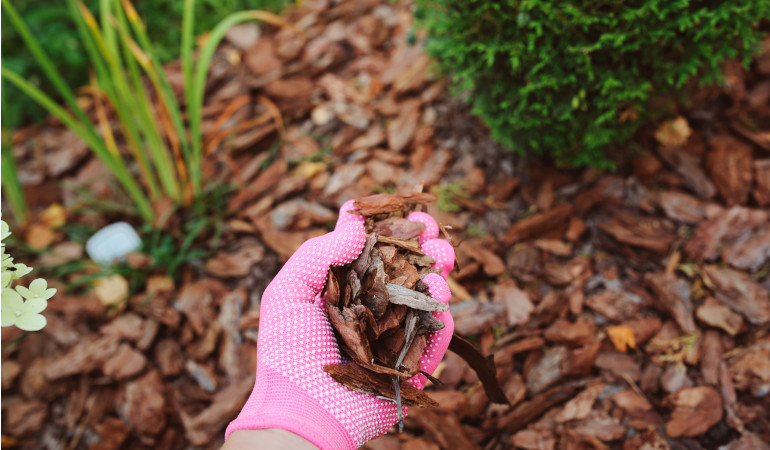 Žena drží kůru v růžových rukavicích