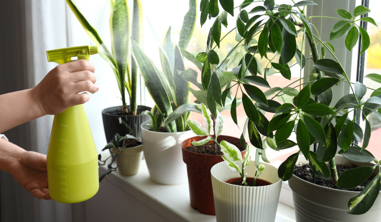 Žena postř&iacute;k&aacute; tropick&eacute; rostliny na okenn&iacute;m parapetu