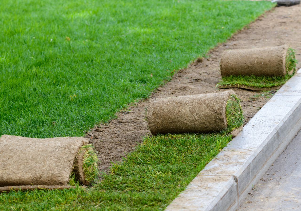 trávník v rolkách