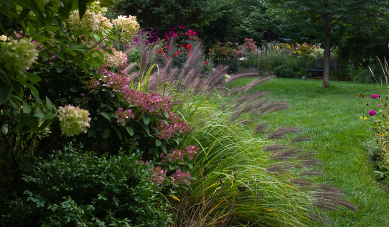 Pohled na květiny a rostliny v zahradě, vysok&eacute; zelen&eacute; okrasn&eacute; tr&aacute;vy 