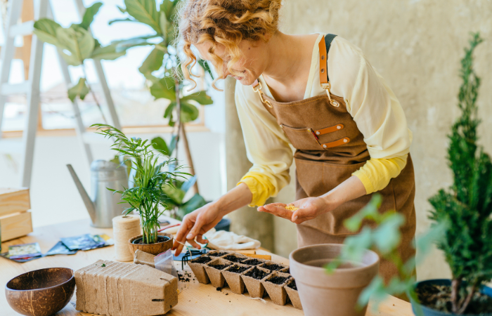 &Scaron;ťastn&aacute; zahradnice pracuj&iacute;c&iacute; na dom&aacute;c&iacute; zahradě drž&iacute; semena v ruce a vys&eacute;v&aacute; je do ra&scaron;elinov&yacute;ch květin&aacute;čků na dřevěn&eacute;m stole v m&iacute;stnosti.